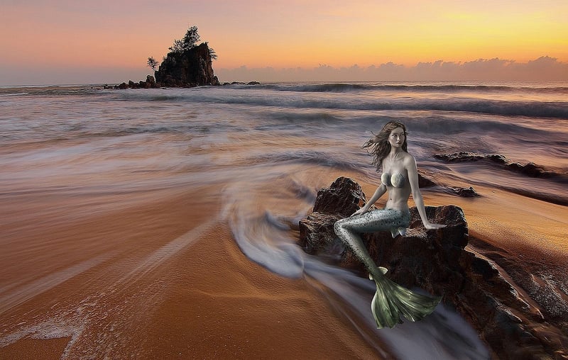 Mermaid Dining Experience